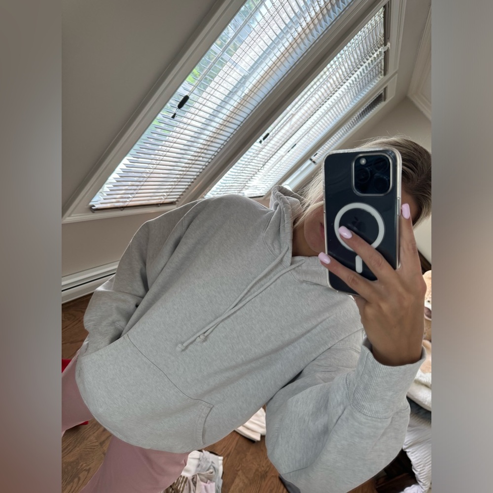 Aritzia hoodie